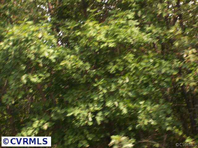 8717 South Genito Road Jetersville, VA 23083 - Photo 5 of 6 Other