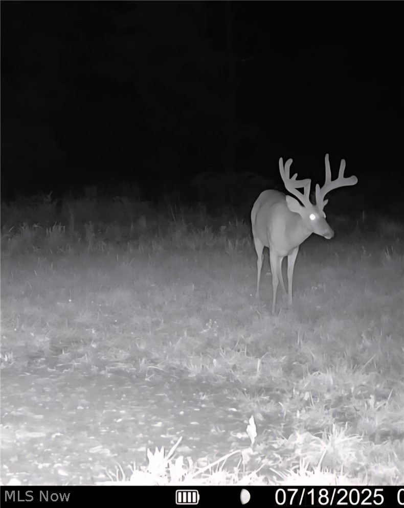 69800 Skull Fork Road Freeport, OH 43973 - Photo 47 of 50