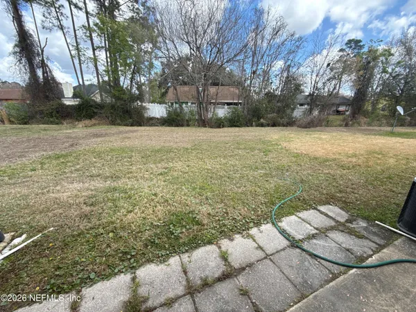 a view of a yard