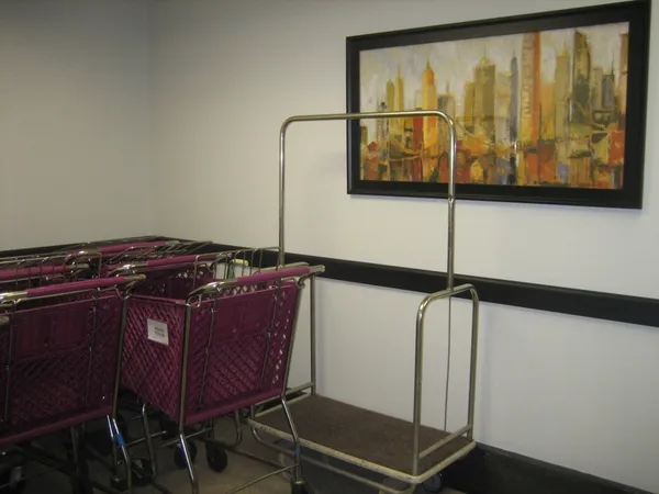 a view of a park with large trees