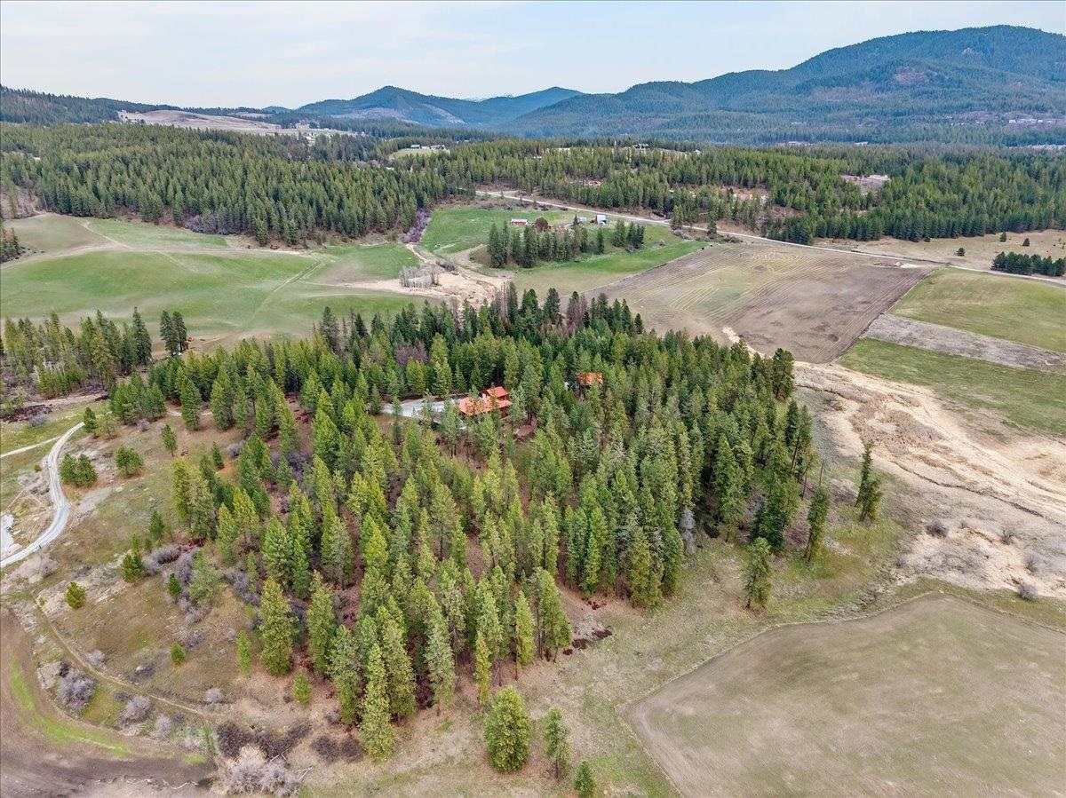 2358 Highline Road Chewelah, WA 99109 - Photo 5 of 43