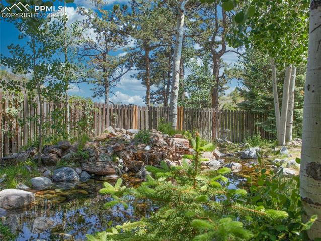 9005 Ute Road Cascade, CO 80809 - Photo 17 of 24