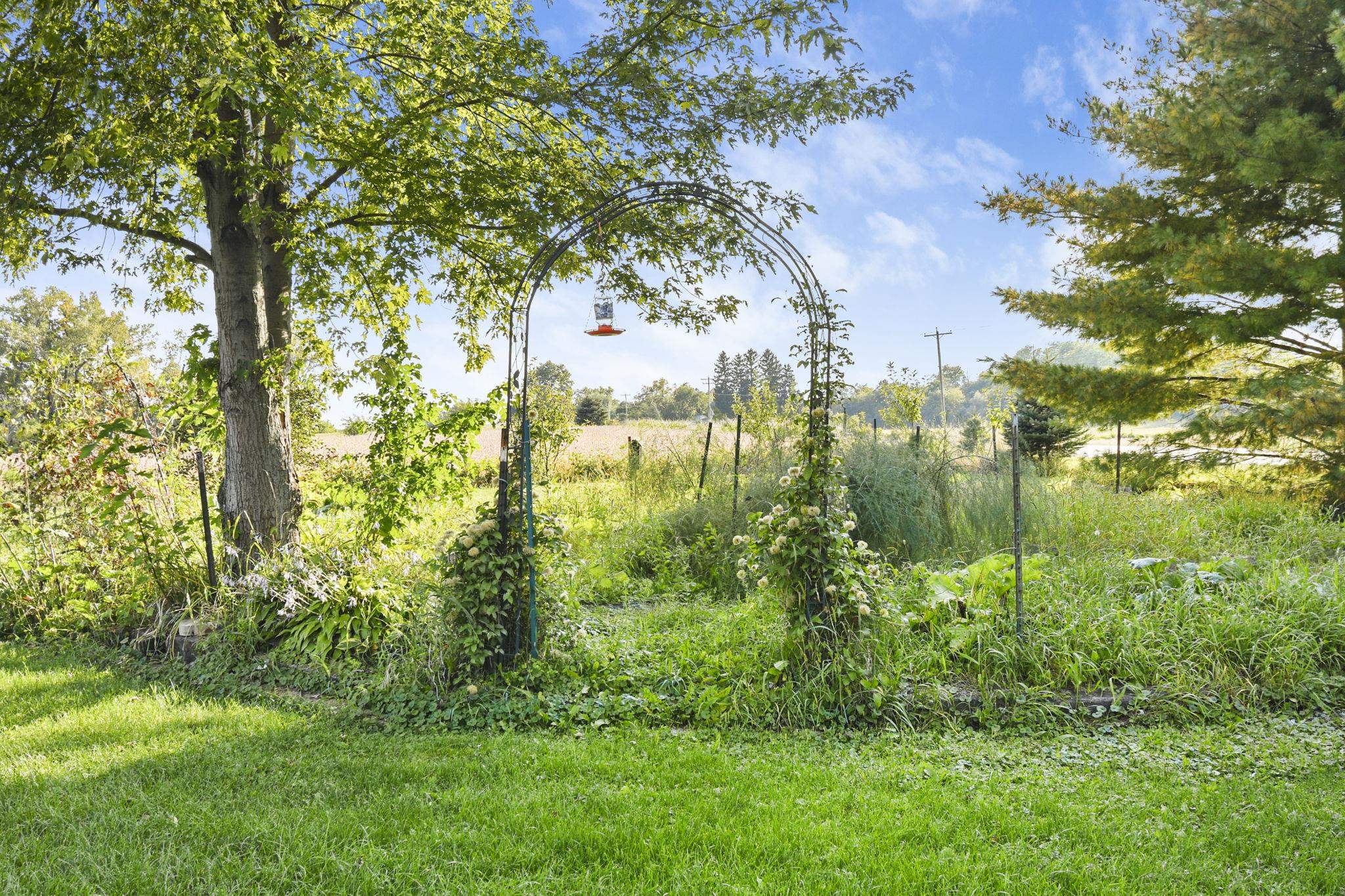 N3240 County Rd BB Columbus, WI 53925 - Photo 36 of 38