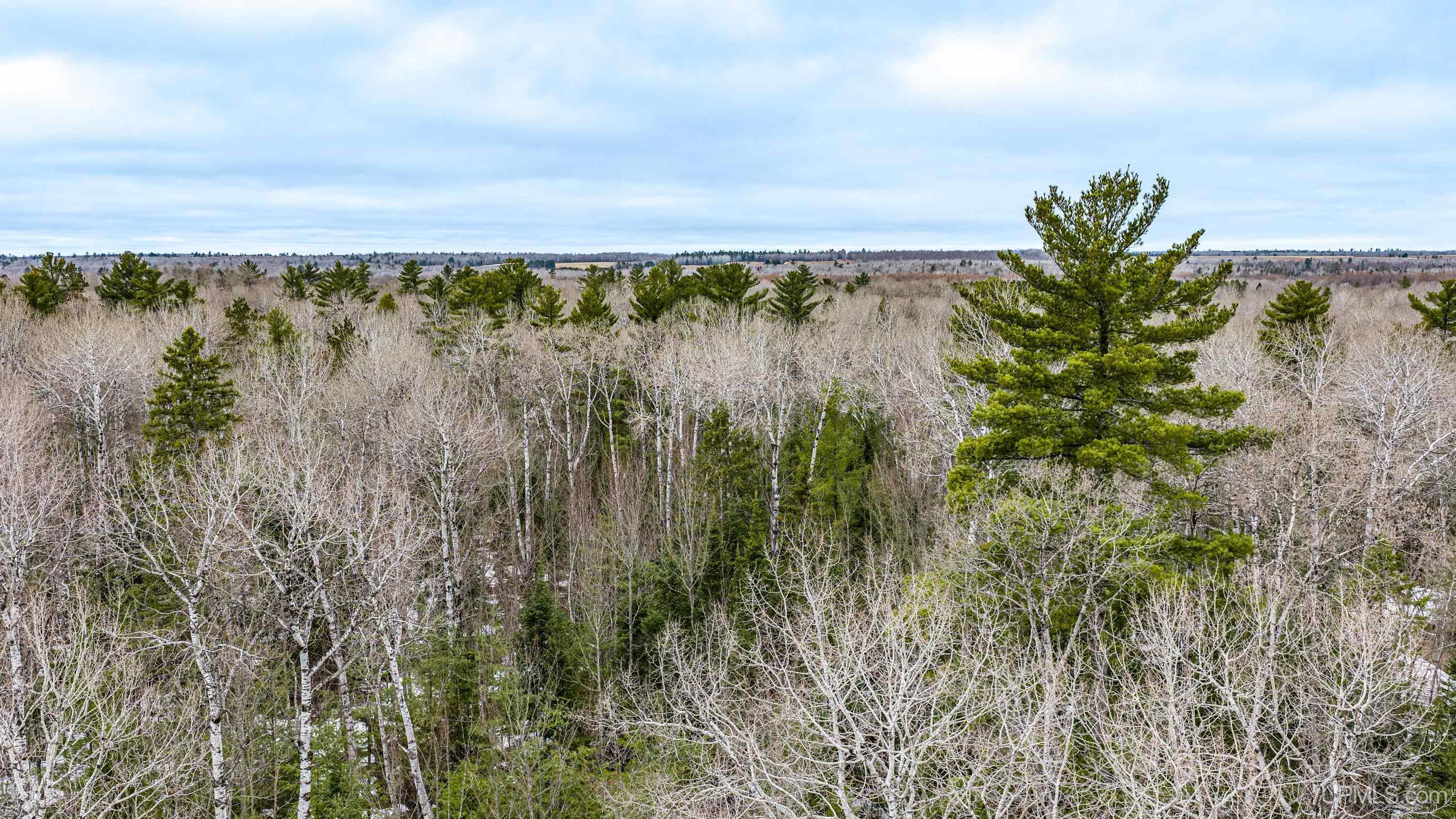 Tbd Off Of Choate Road, Unit NO INSURABLE LEGAL ACCESS Ewen, MI 49925 - Photo 11 of 30