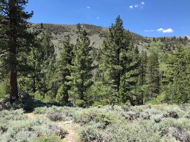 Lot #3 Lundy Lake Road Lee Vining, CA 93541 - Photo 2 of 7