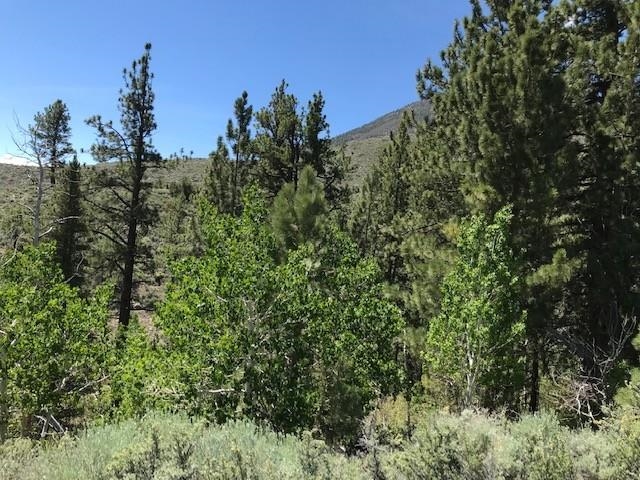 Lot #3 Lundy Lake Road Lee Vining, CA 93541 - Photo 3 of 7