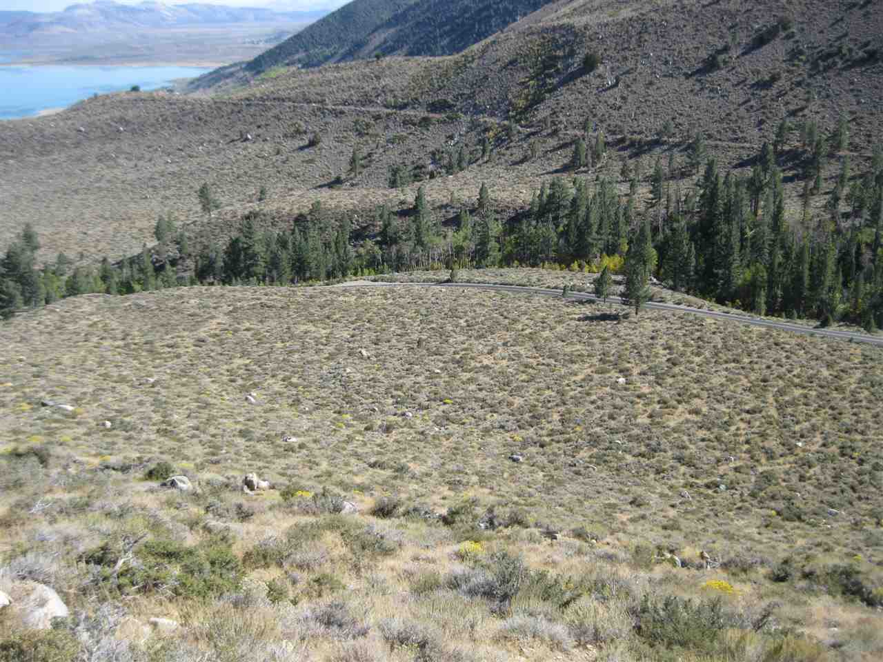 Lot #3 Lundy Lake Road Lee Vining, CA 93541 - Photo 4 of 7