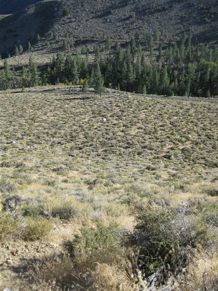 Lot #3 Lundy Lake Road Lee Vining, CA 93541 - Photo 5 of 7