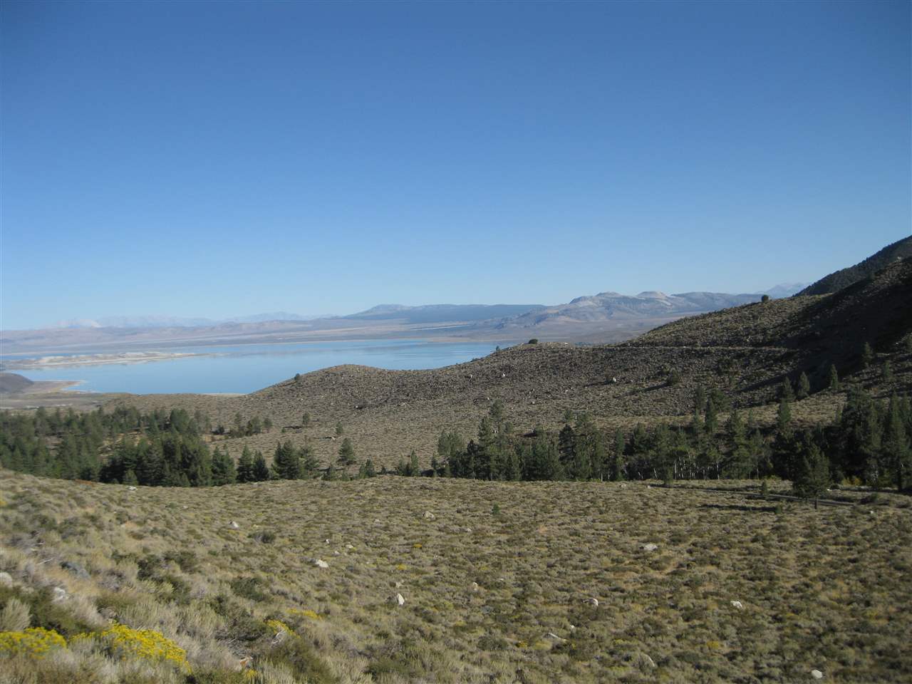 Lot #3 Lundy Lake Road Lee Vining, CA 93541 - Photo 6 of 7