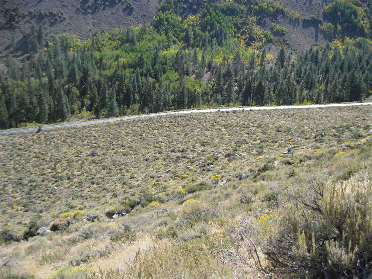 Lot #3 Lundy Lake Road Lee Vining, CA 93541 - Photo 7 of 7