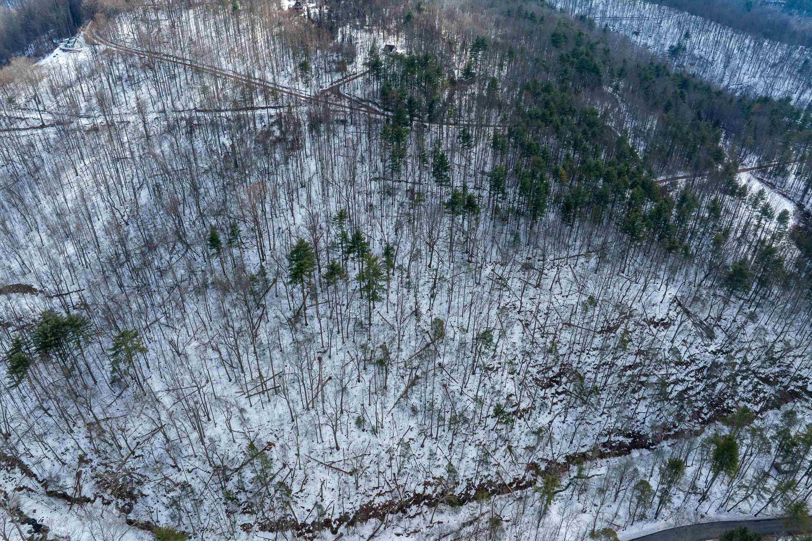 Lot 10 Overlook Mountain Road Elkton, VA 22827 - Photo 11 of 20 a view of a dry yard with trees
