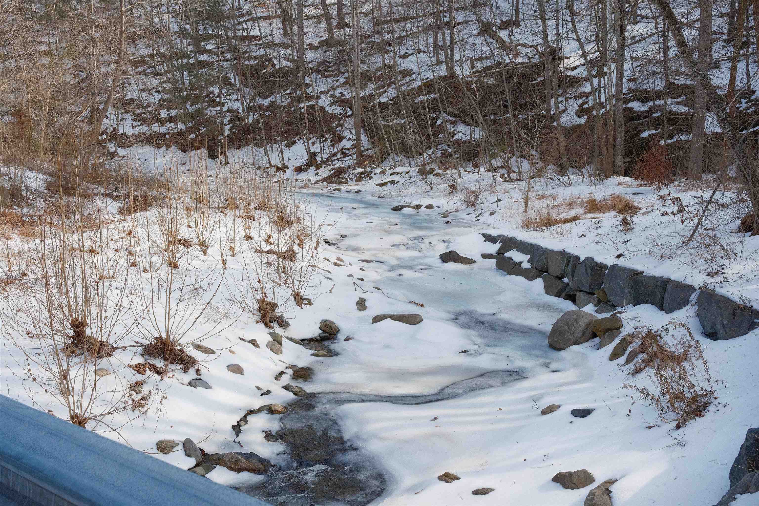 Lot 10 Overlook Mountain Road Elkton, VA 22827 - Photo 19 of 20 a view of a backyard of the house