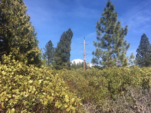 Lot 55 Grant Road Mount Shasta, CA 96067 - Photo 8 of 12 Gallery Image 8