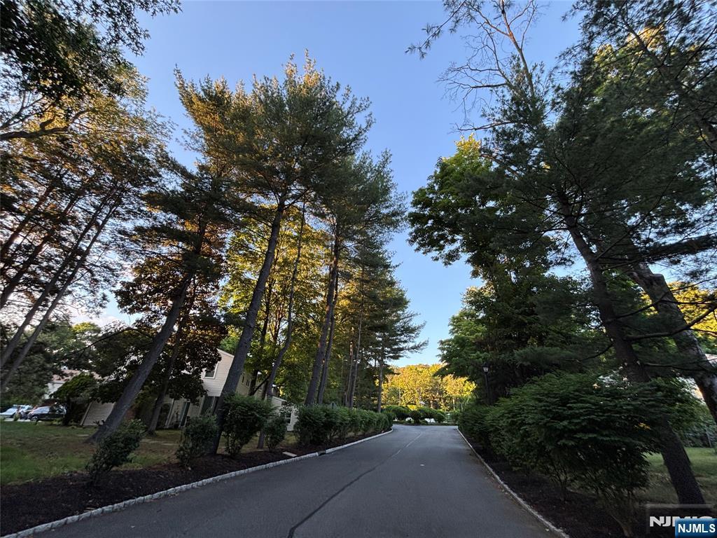 131 Bunker Hill Road Wayne, NJ 07470 - Photo 45 of 45