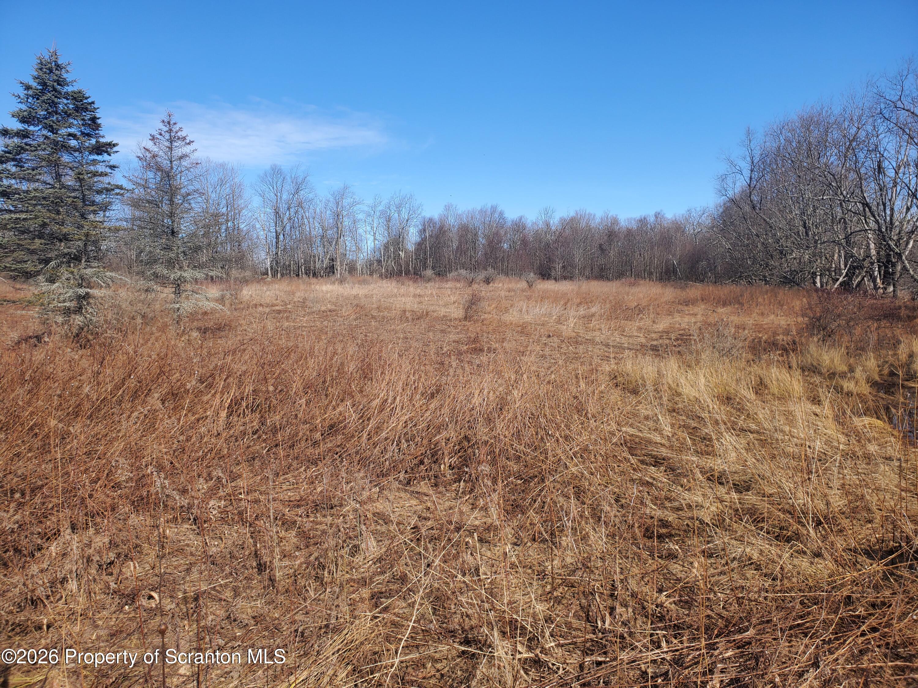 0 Ebbs Corner Road Hallstead, PA 18822 - Photo 2 of 8 a view of a yard with trees in the background