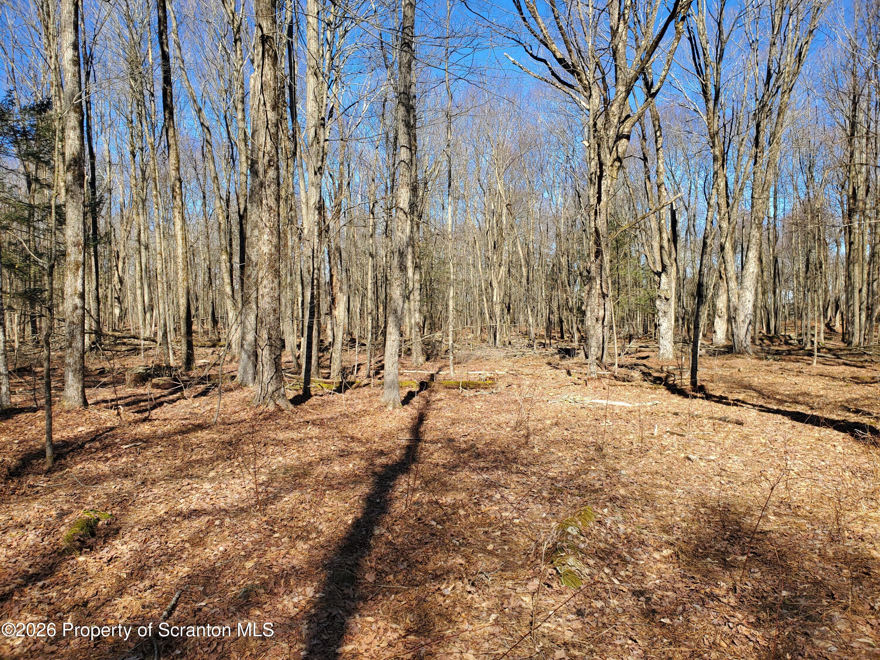 0 Ebbs Corner Road Hallstead, PA 18822 - Photo 3 of 8 a view of snow on a road
