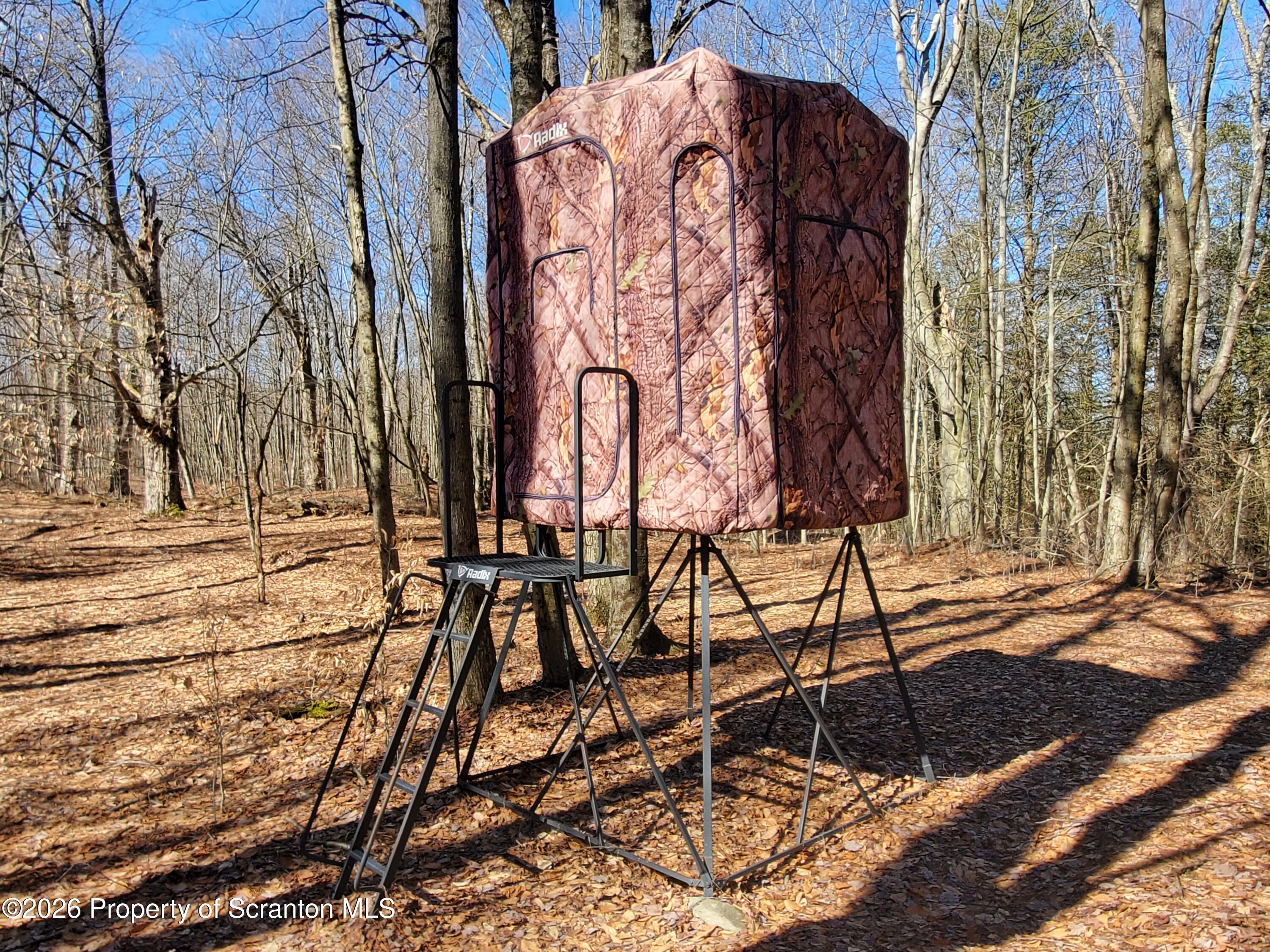0 Ebbs Corner Road Hallstead, PA 18822 - Photo 4 of 8 a view of a pathway with a yard