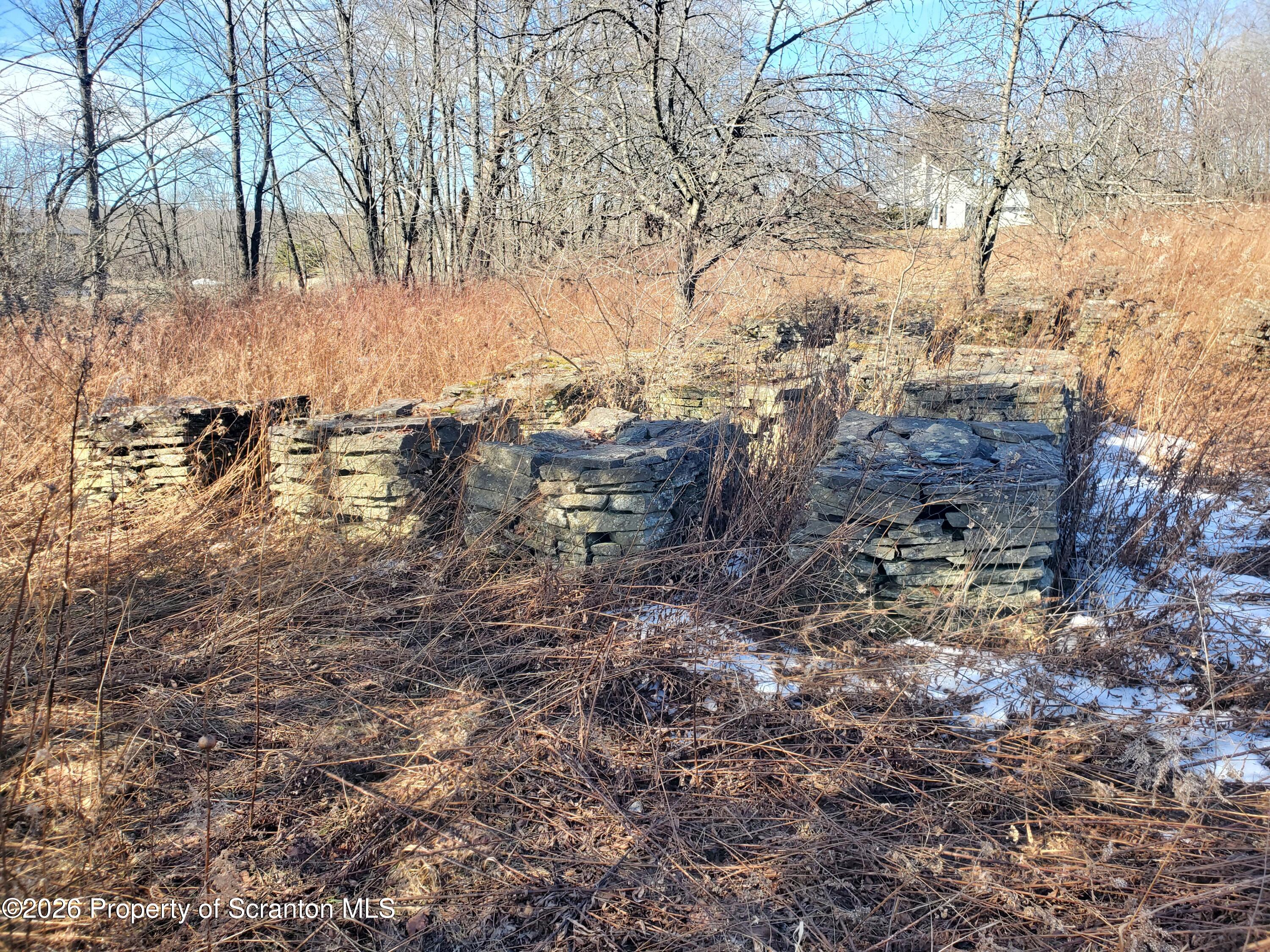 0 Ebbs Corner Road Hallstead, PA 18822 - Photo 5 of 8 a view of a yard covered with trees
