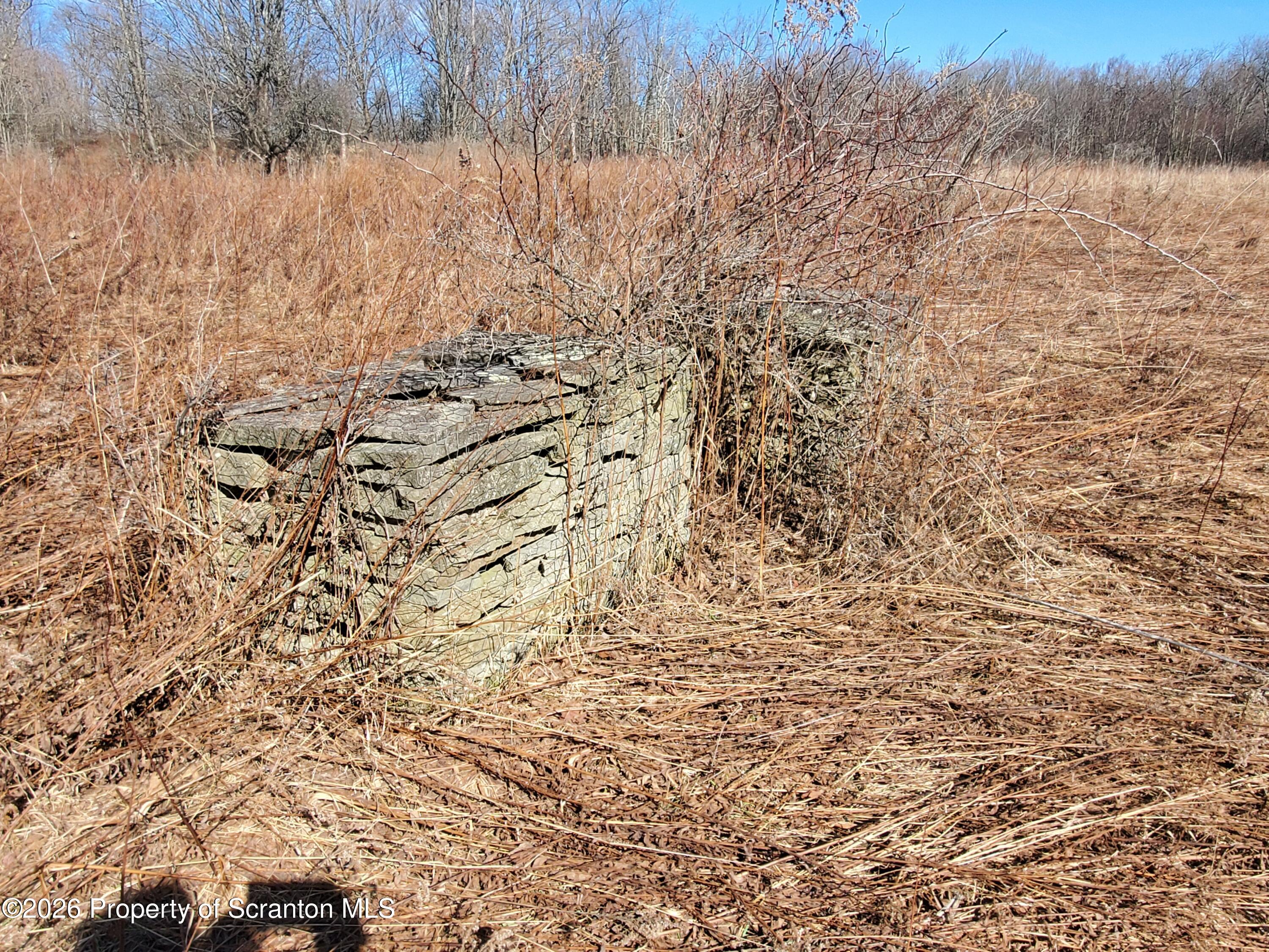 0 Ebbs Corner Road Hallstead, PA 18822 - Photo 6 of 8 a view of a yard with trees