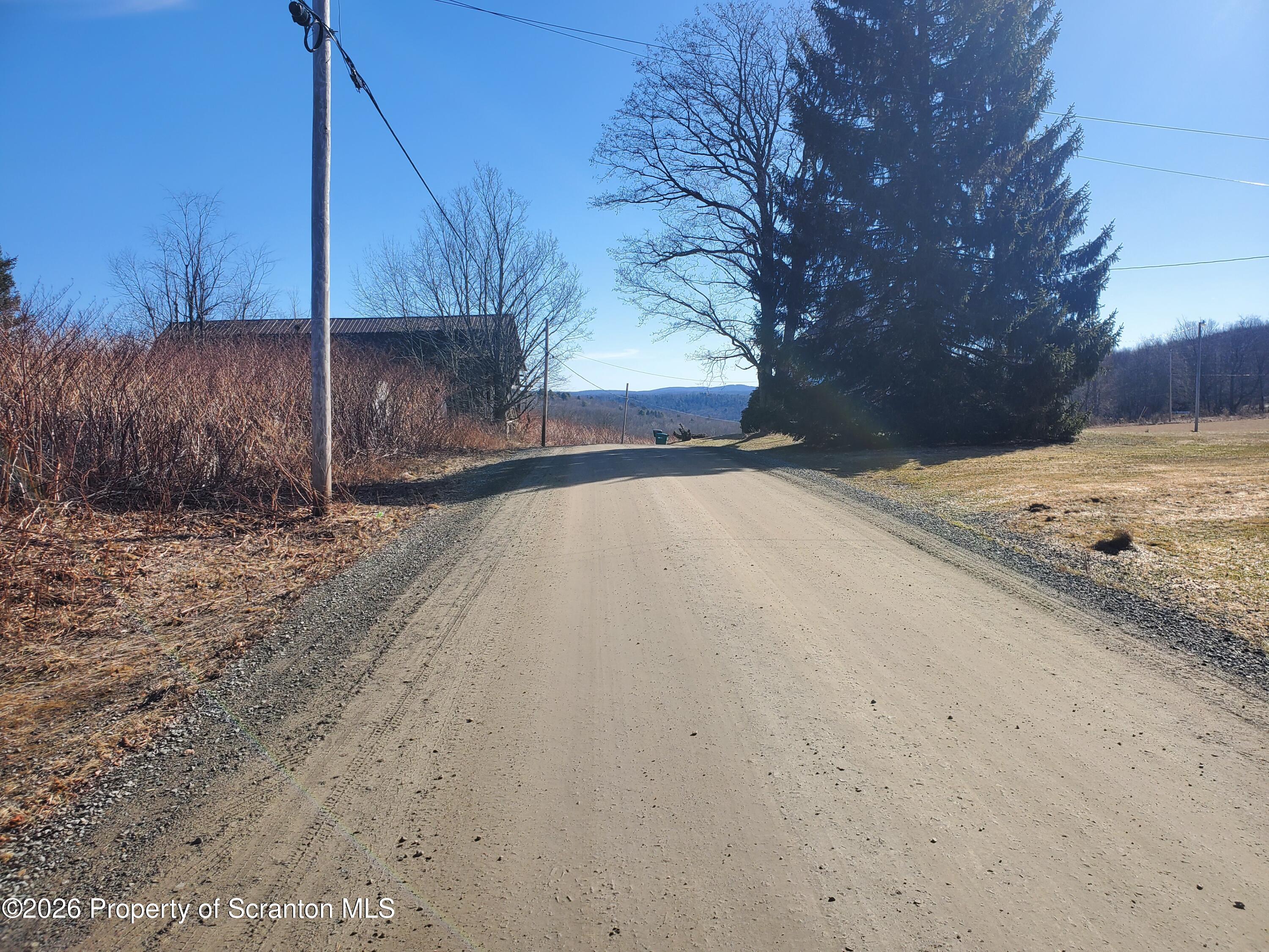0 Ebbs Corner Road Hallstead, PA 18822 - Photo 8 of 8 a view of a backyard of the house