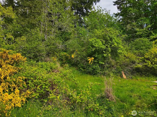 a view of a lush green space