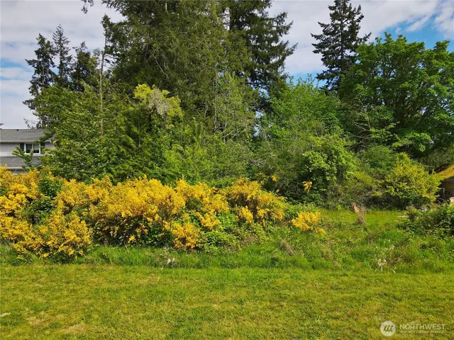 a view of yard with green space