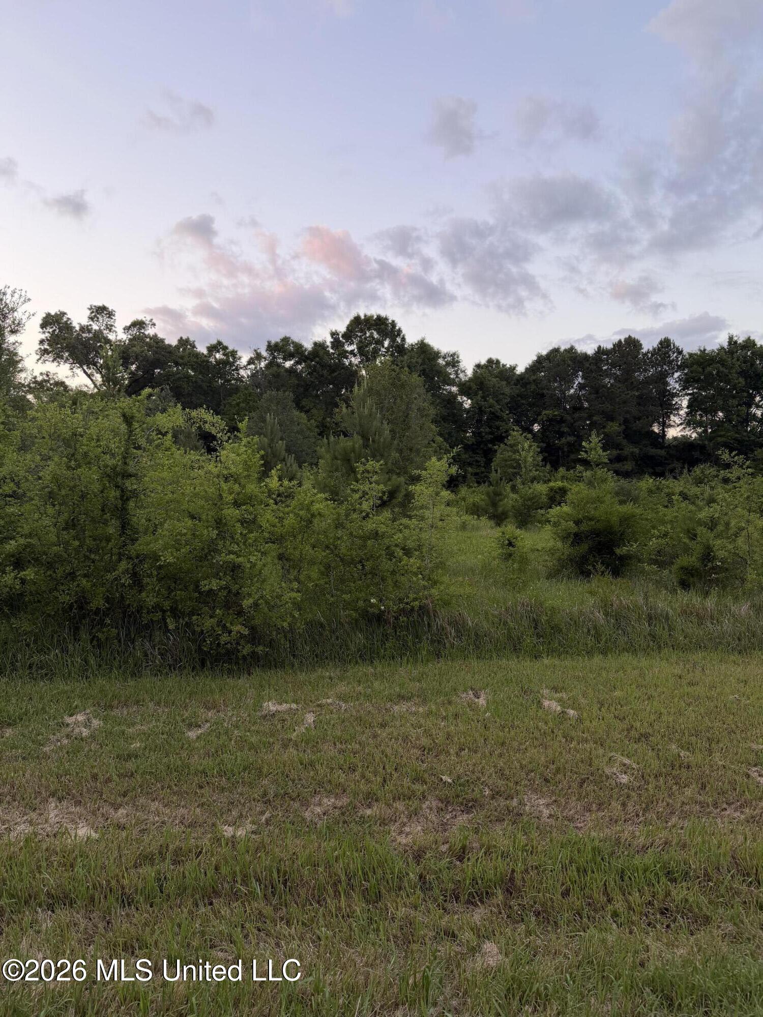 2771 East McHenry Road Saucier, MS 39574 - Photo 2 of 5 IMG_7755