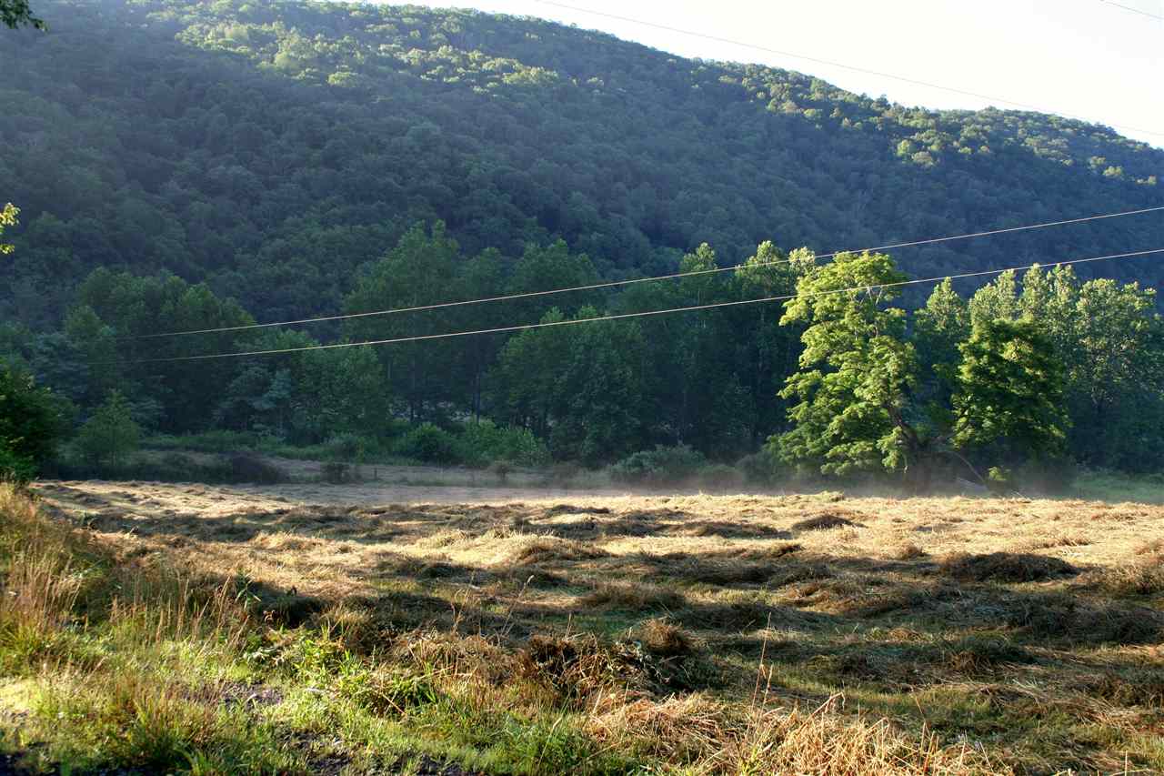 8929 Upper Back Creek Road Monterey, VA 24465 - Photo 13 of 50 Gallery Image 13