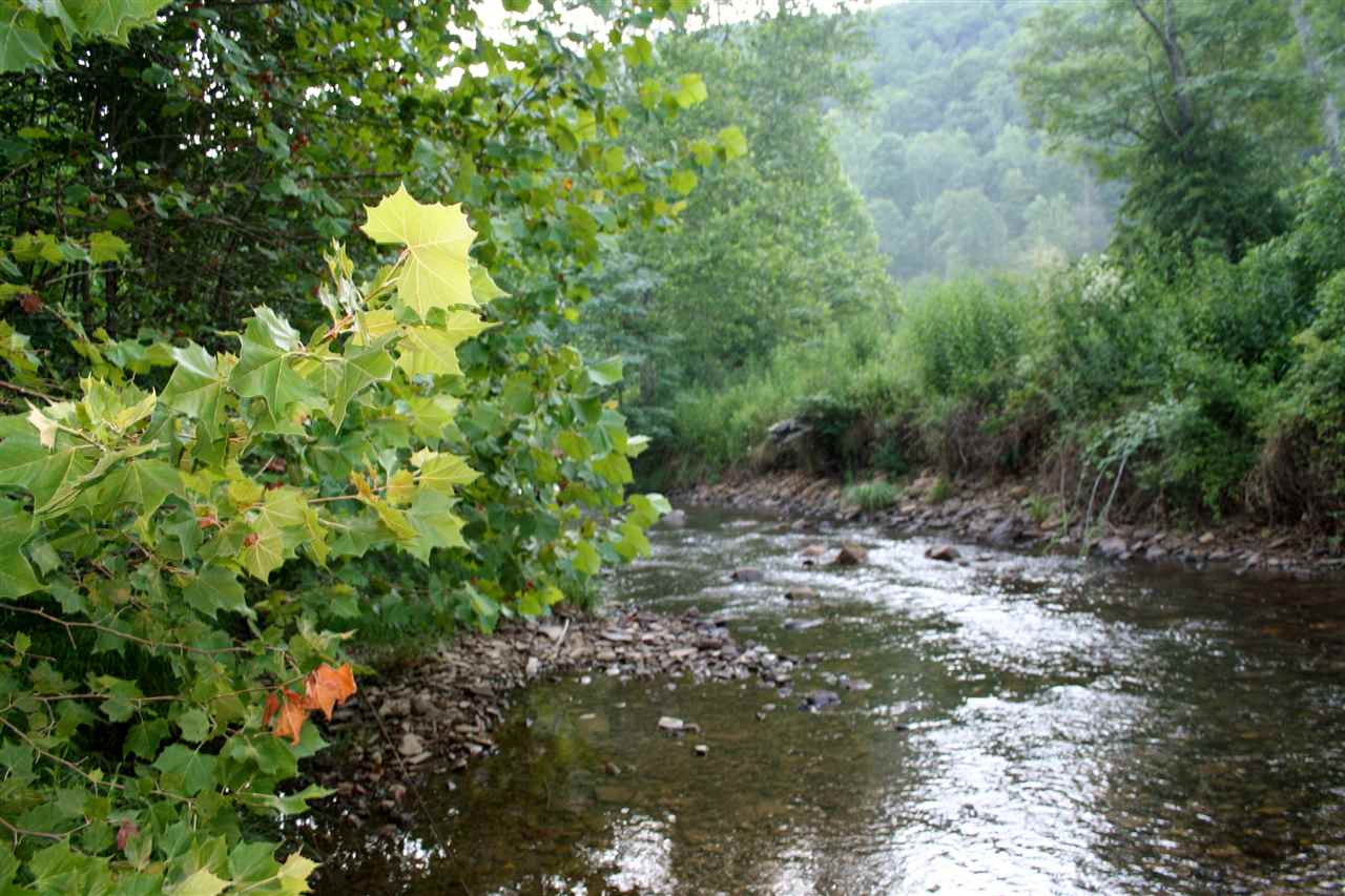 8929 Upper Back Creek Road Monterey, VA 24465 - Photo 17 of 50 Gallery Image 17