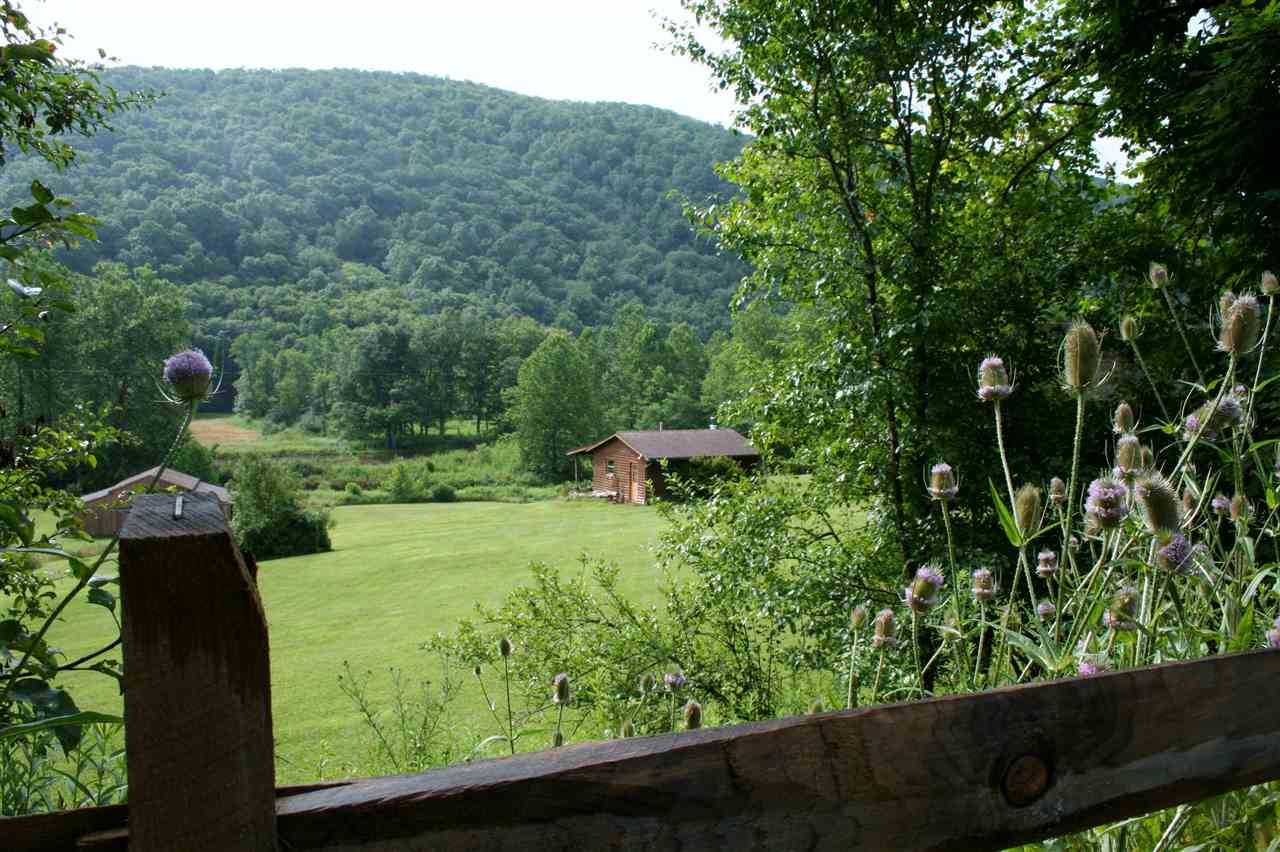 8929 Upper Back Creek Road Monterey, VA 24465 - Photo 8 of 50 Gallery Image 8