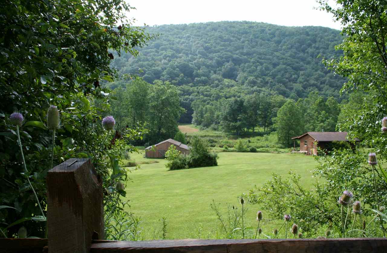 8929 Upper Back Creek Road Monterey, VA 24465 - Photo 9 of 50 Gallery Image 9