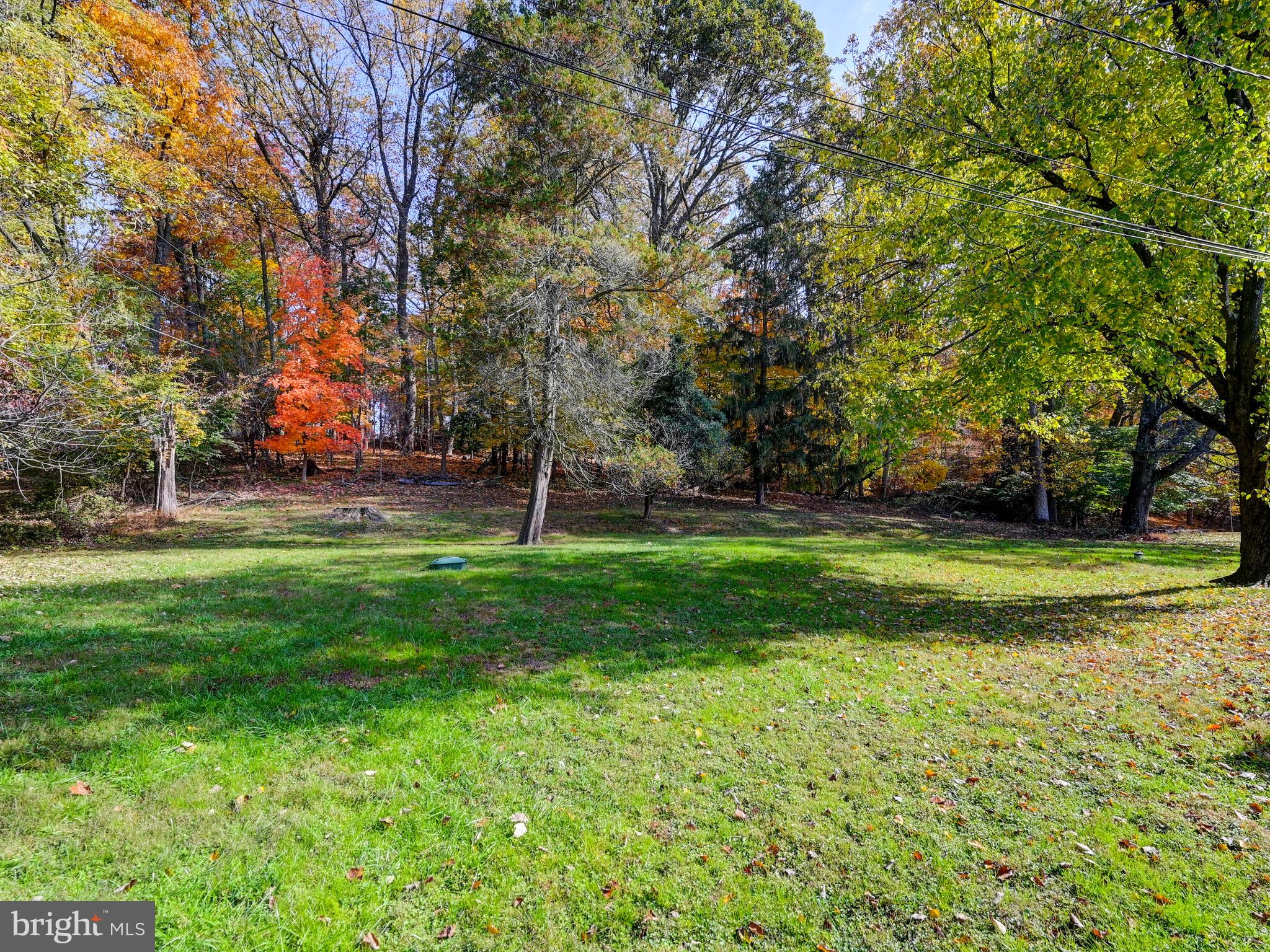 5 Springbriar Lane Pikesville, MD 21208 - Photo 32 of 38 GORGEOUS REAR YARD