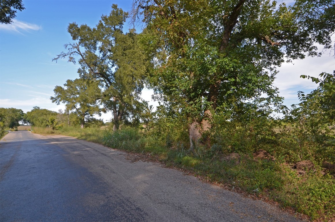 2352 Airport Road Brenham, TX 77833 - Photo 20 of 24 a view of a yard with large trees