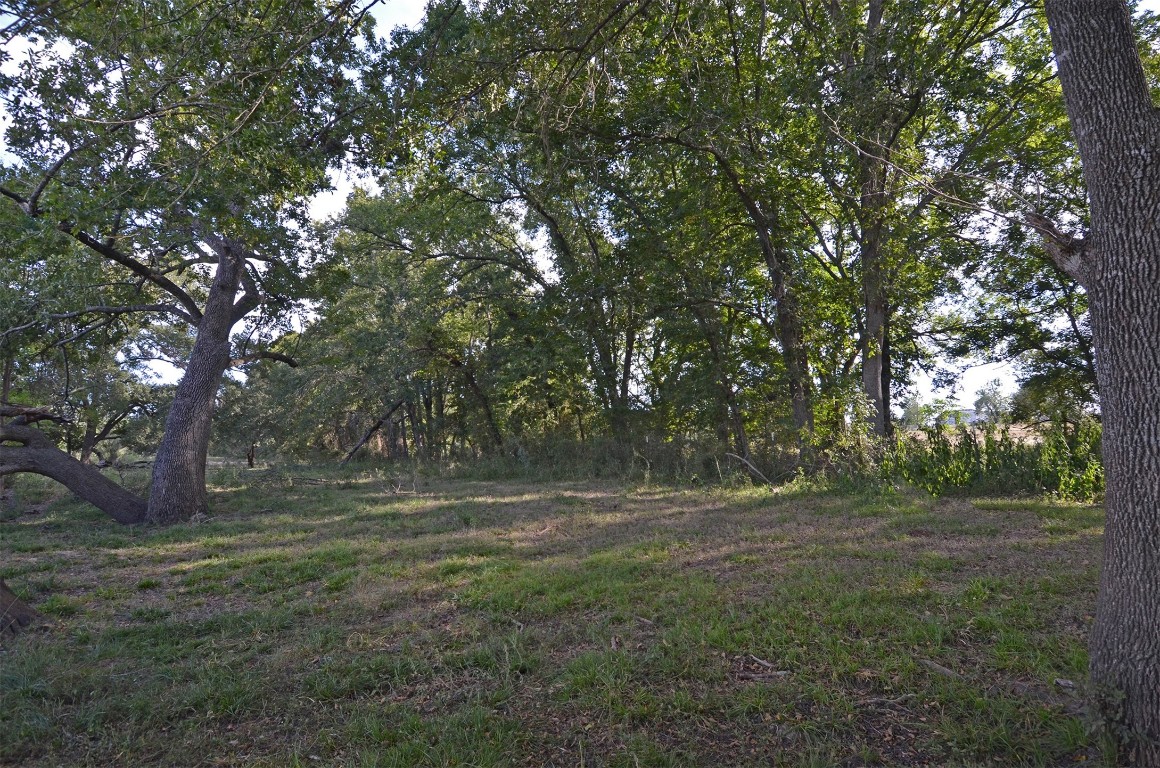2352 Airport Road Brenham, TX 77833 - Photo 22 of 24 a view of outdoor space with trees