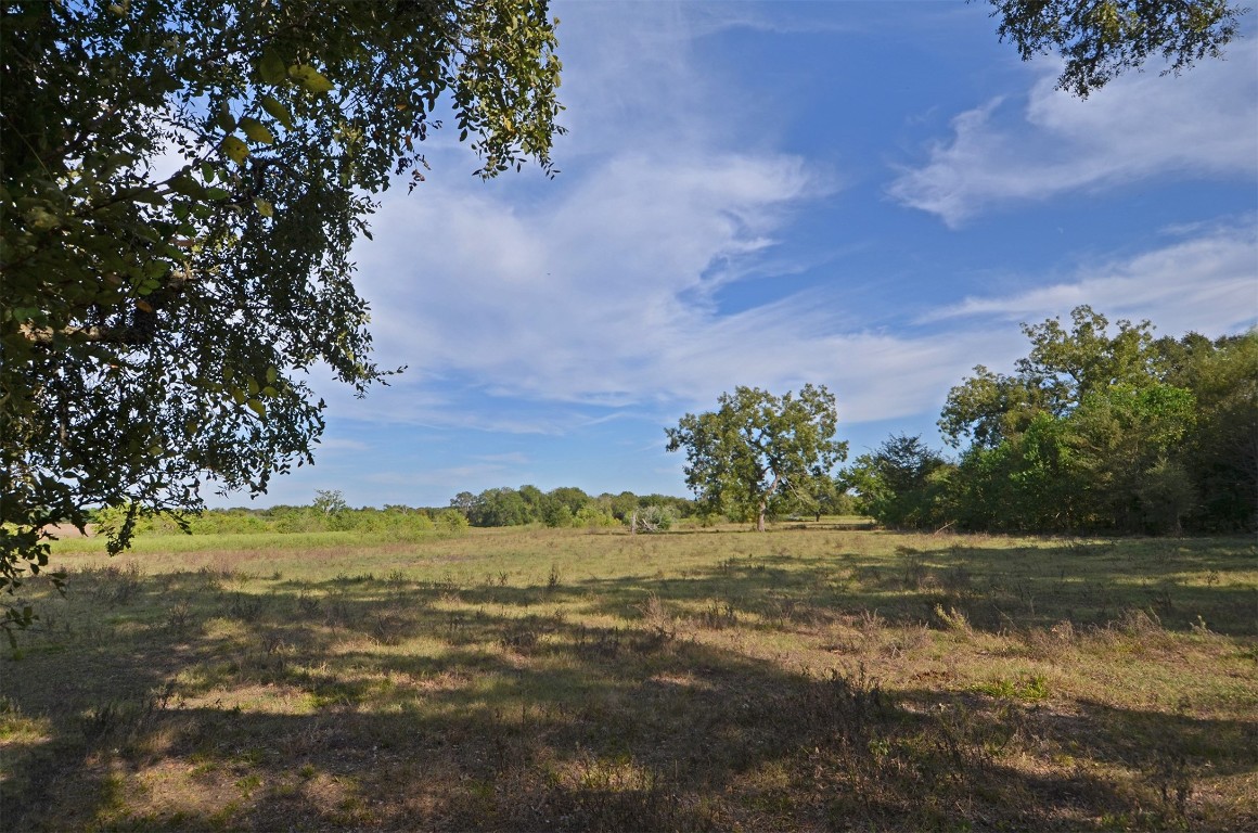 2352 Airport Road Brenham, TX 77833 - Photo 23 of 24 a view of a yard with a tree
