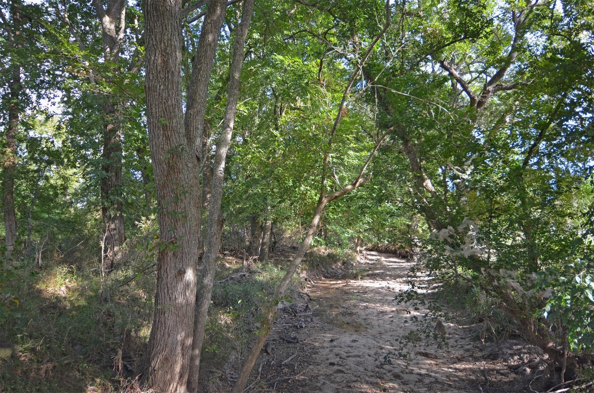 2352 Airport Road Brenham, TX 77833 - Photo 6 of 24 a backyard of a house with lots of trees