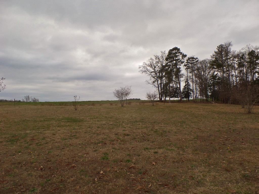 1300 Horseshoe Road Iva, SC 29655 - Photo 15 of 31 Gallery Image 15