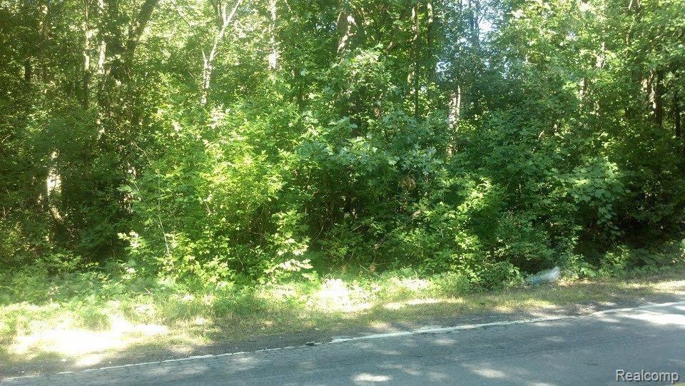 0 Marshall Road South Lyon, MI 48178 - Photo 3 of 3 MARSHALL 3.28 ACRES