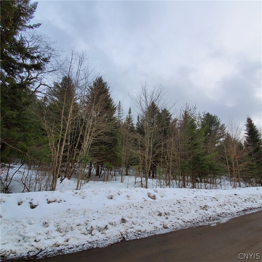 1 Figert Road Ohio, NY 13324 - Photo 1 of 1 Gallery Image 1