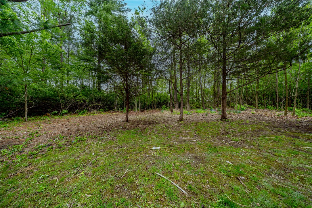 11296 Pansing Road Brookville, OH 45309 - Photo 40 of 53 This tranquil wooded lot offers a serene escape, ready for your vision to unfold.