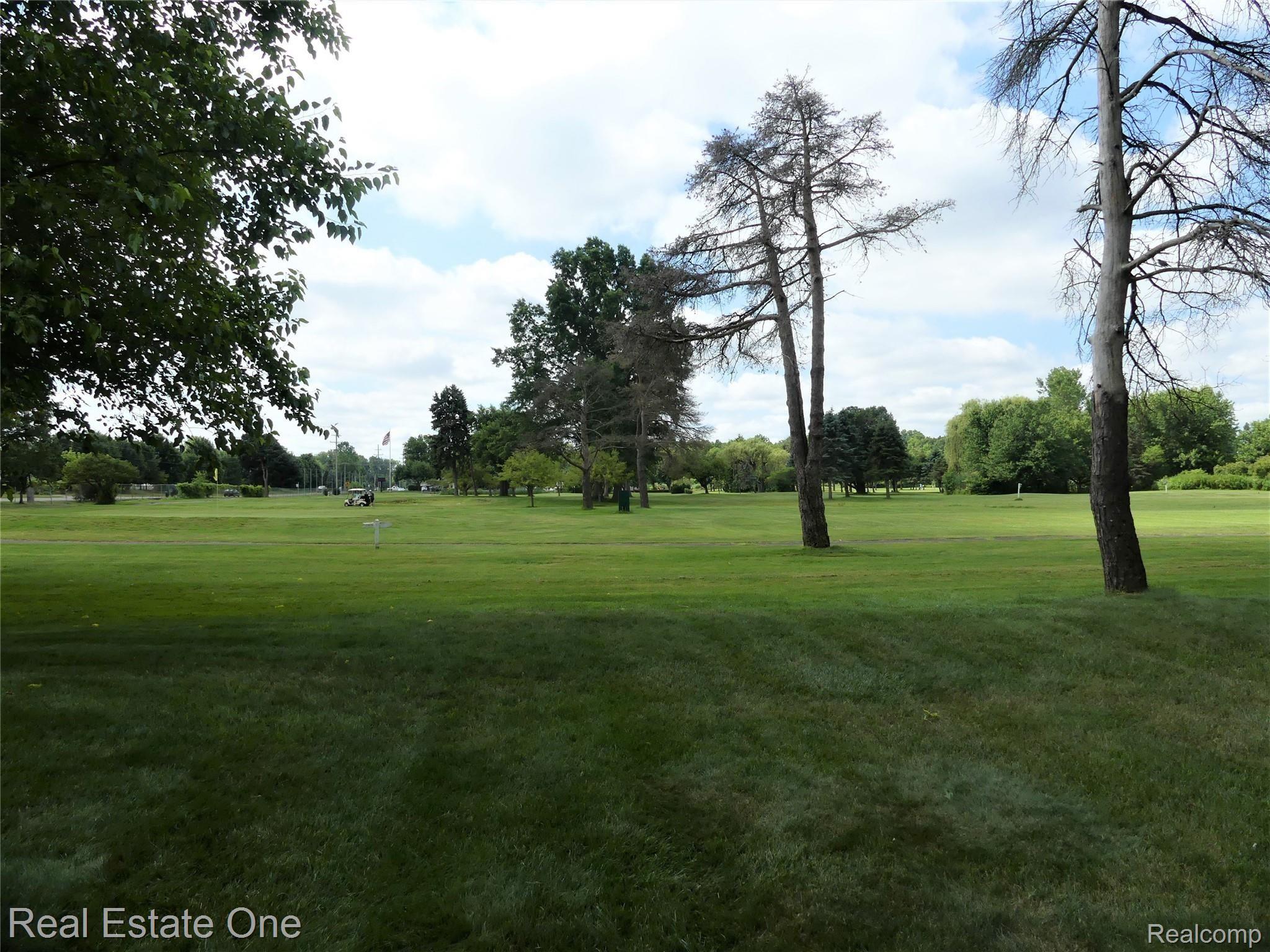 20390 Inkster Road Romulus, MI 48174 - Photo 11 of 49 P1010552.JPG