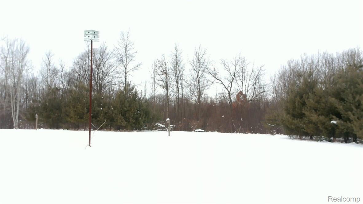 11480 Wilkes Road Yale, MI 48097 - Photo 27 of 83 WIN_20160217_123438.JPG
