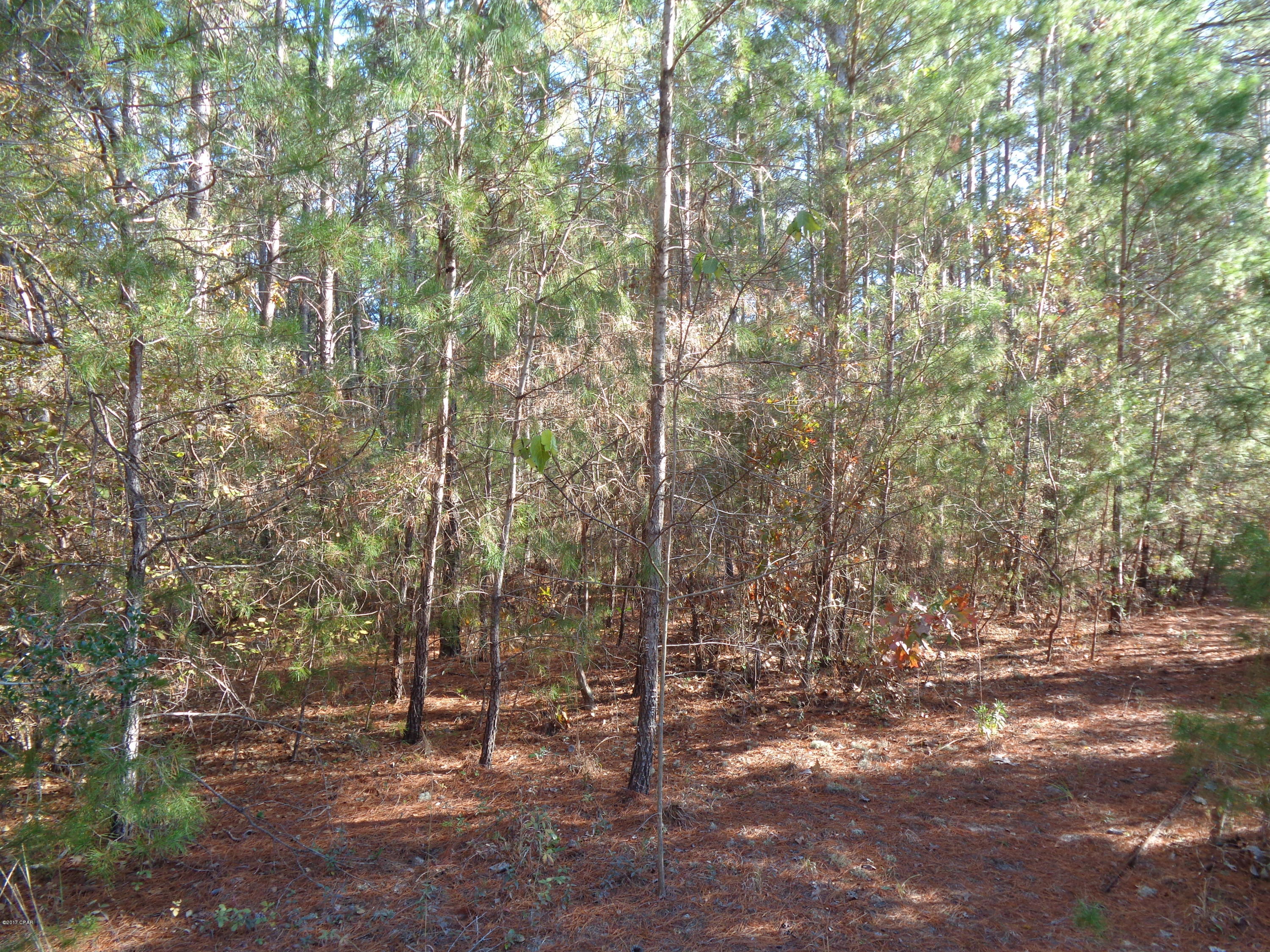 3109 Bonnett Pond Road Chipley, FL 32428 - Photo 20 of 26