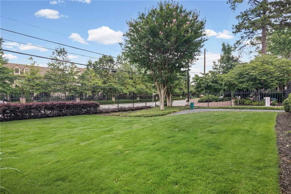 3675 Peachtree Road Northeast, Unit 45 Atlanta, GA 30319 - Photo 39 of 42 a view of a park with large trees