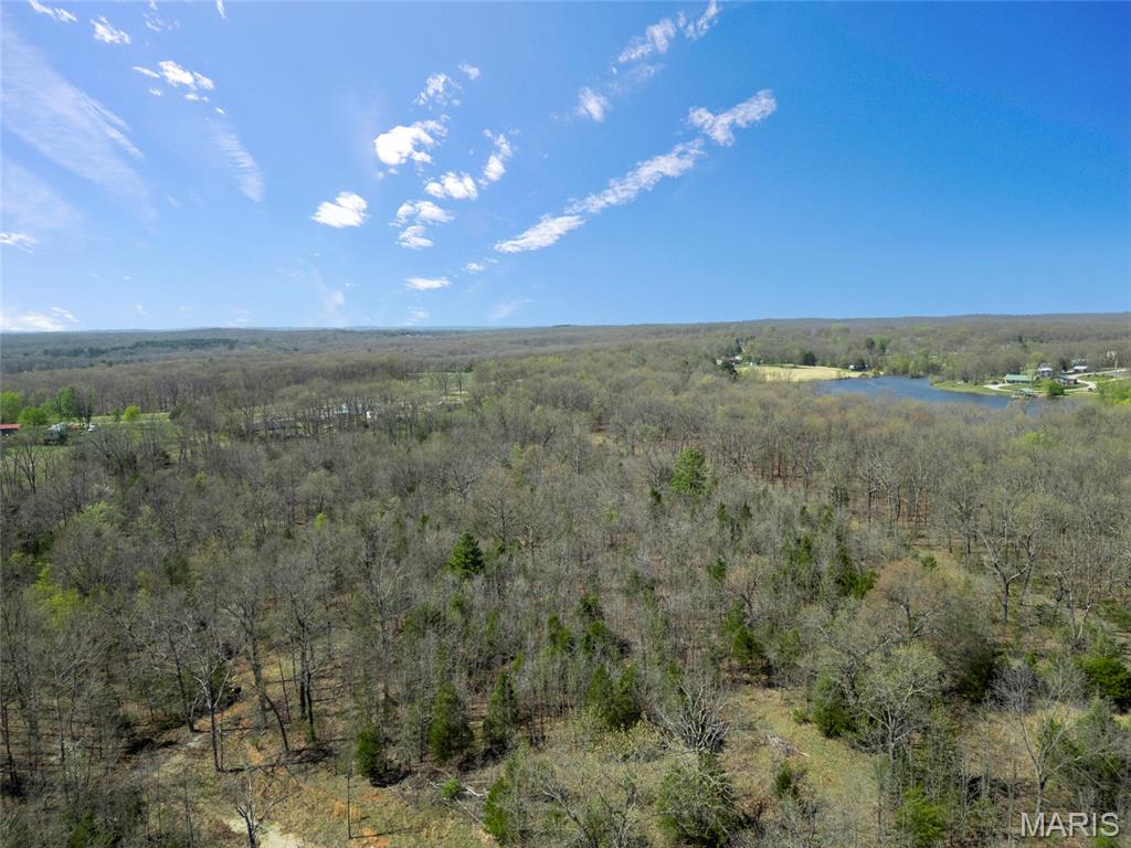 Lot 15 Ozark Heights Road Mineral Point, MO 63660 - Photo 4 of 5