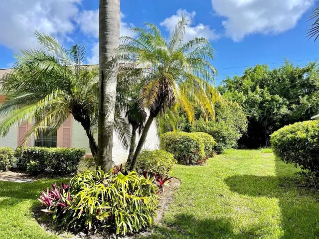 a view of a yard with plants