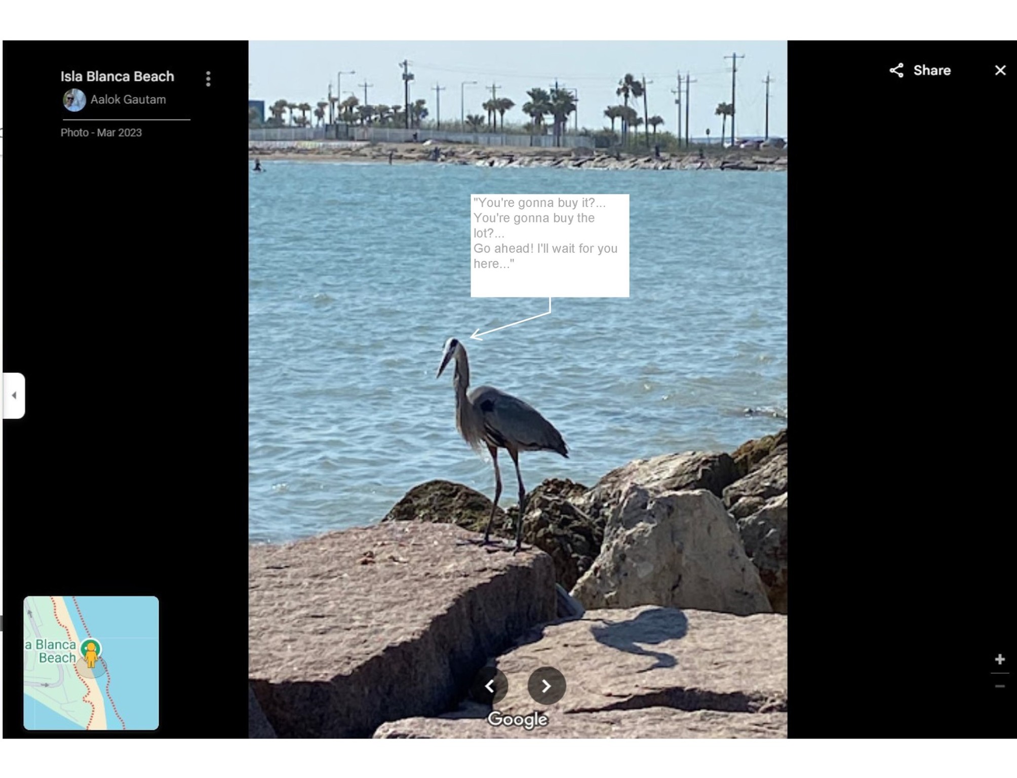 0 Green Valley Drive San Benito, TX 78586 - Photo 18 of 25