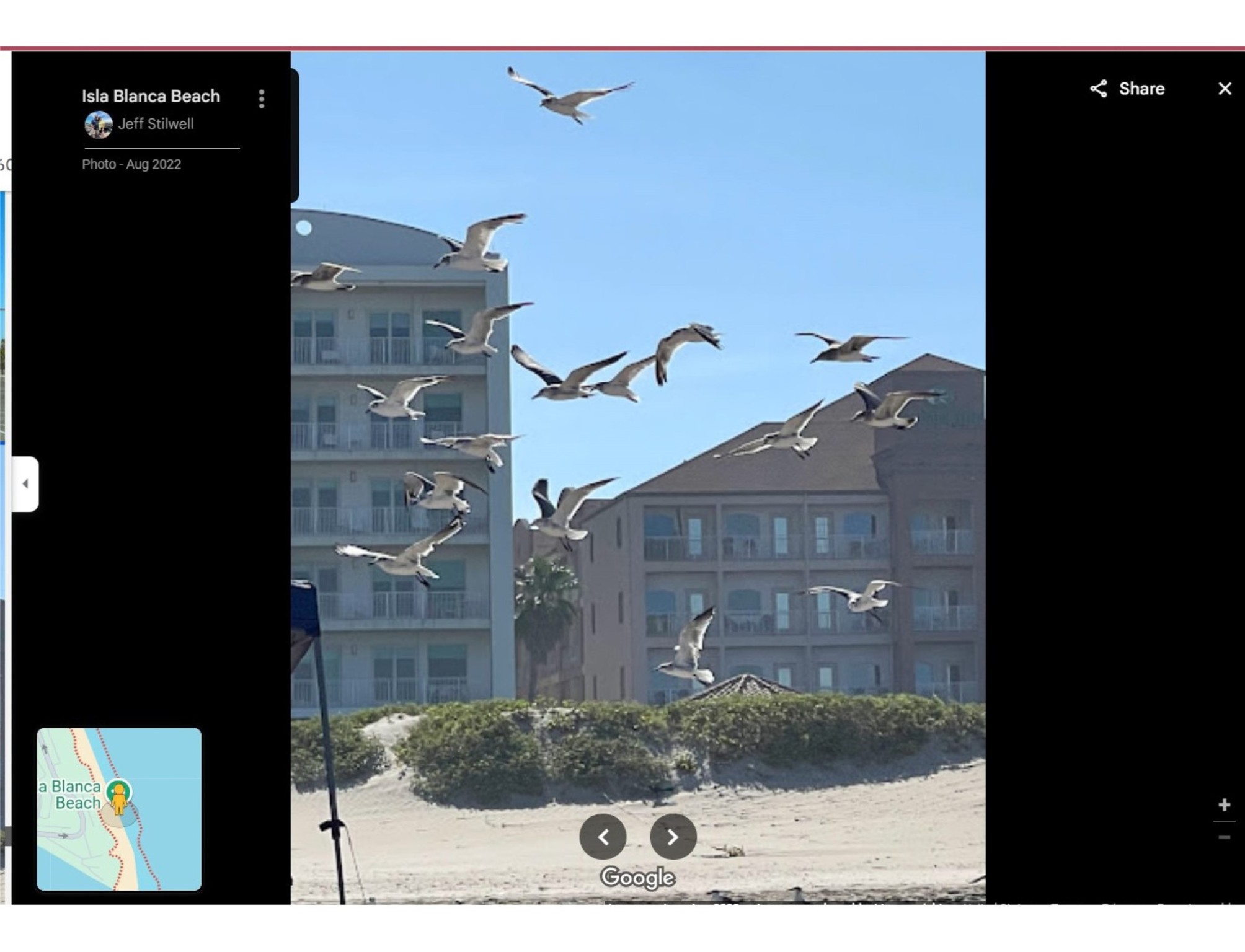 0 Green Valley Drive San Benito, TX 78586 - Photo 19 of 25
