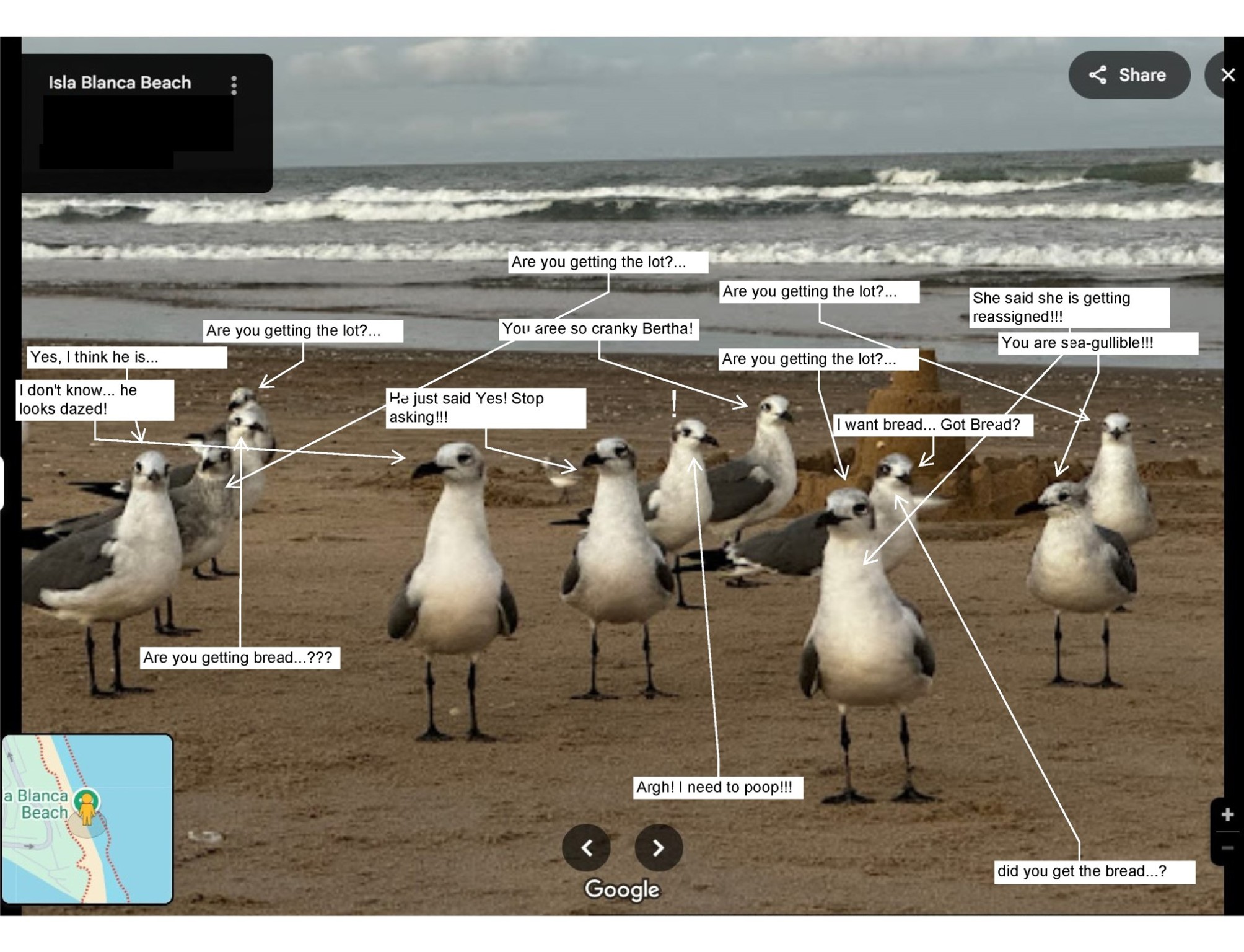 0 Green Valley Drive San Benito, TX 78586 - Photo 2 of 25 Are you getting the lot?