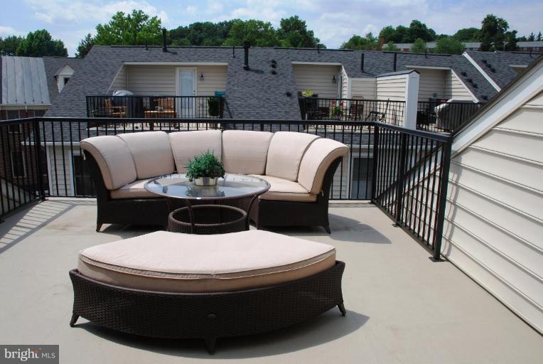 3339 Kemper Road Arlington, VA 22206 - Photo 3 of 15 Roof Deck View